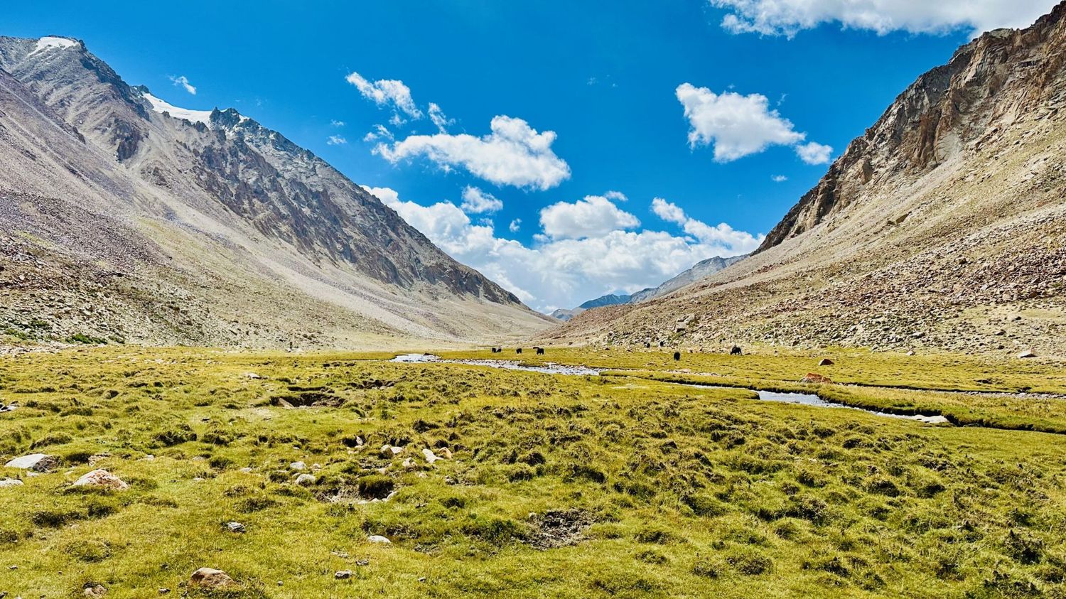 Nubra Valley Trek